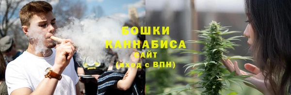стаф Зеленодольск